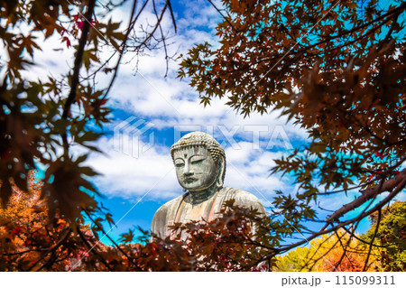 Daibutsu or Great Buddha of Kamakura in Kotokuin Temple at Kanagawa Prefecture Japan with leaves changing color It is an important landmark and a popular destination for tourists and pilgrims. Daibutsu or Great Buddha of Kamakura in Kotokuin Temple at Kanagawa Prefecture Japan with leaves changing color It is an important landmark and a popular destination for tourists and pilgrims. 115099311