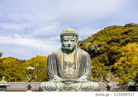 Daibutsu or Great Buddha of Kamakura in Kotokuin Temple at Kanagawa Prefecture Japan with leaves changing color It is an important landmark and a popular destination for tourists and pilgrims. Daibutsu or Great Buddha of Kamakura in Kotokuin Temple at Kanagawa Prefecture Japan with leaves changing color It is an important landmark and a popular destination for tourists and pilgrims. 115099317