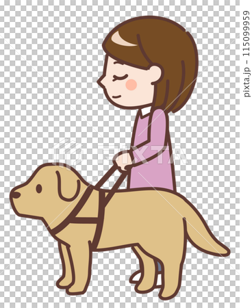 盲導犬と視覚障がい者の女性 115099959