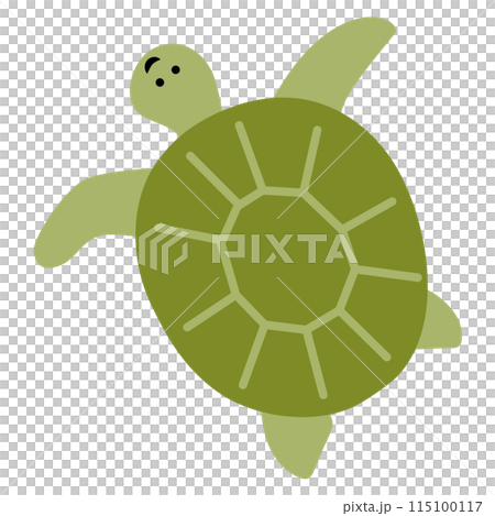 可愛的烏龜圖 115100117