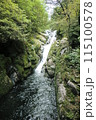 渓流の朝 115100578