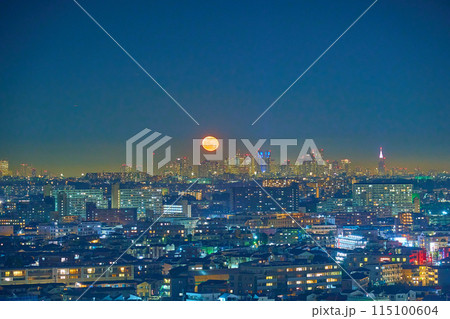 川崎市多摩区と東京都(西新宿)方面の夜景と月出 115100604
