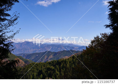山梨県　林道豊岡梅ヶ島線のからの富士山 115100737