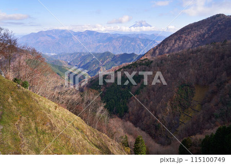 山梨県 林道豊岡梅ヶ島線のからの富士山 山梨県 林道豊岡梅ヶ島線のからの富士山 115100749