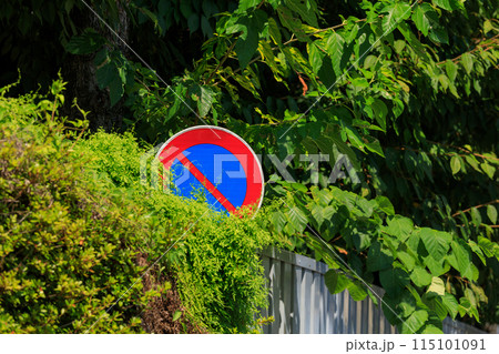 植え込みで隠れる交通標識 115101091
