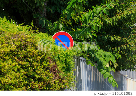 植え込みで隠れる交通標識 115101092