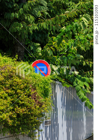 植え込みで隠れる交通標識 115101093