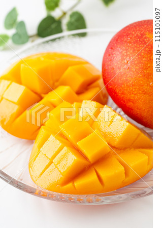 マンゴー 115101097