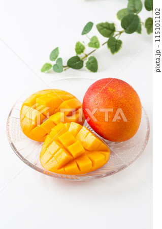マンゴー 115101102