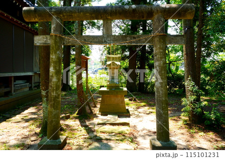 眞城院　鳥居とお堂 115101231