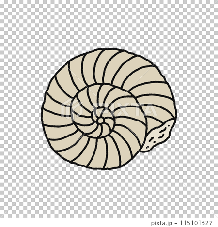 アンモナイト・化石 115101327