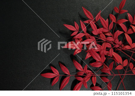 赤い南天の葉20240207 115101354