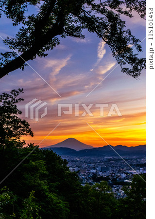 弘法山中腹から見た夕暮れの空と富士山（神奈川県秦野市） 115101458