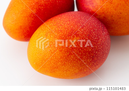 マンゴー 115101483