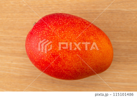 マンゴー 115101486