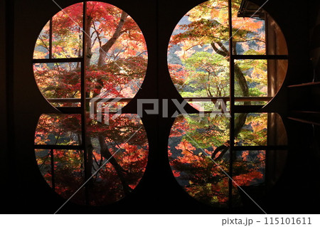祐斎亭の紅葉 祐斎亭の紅葉 115101611