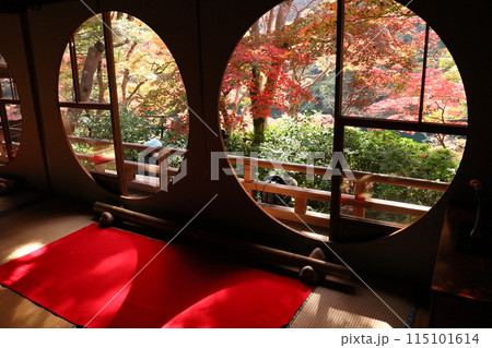 祐斎亭の紅葉 祐斎亭の紅葉 115101614