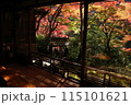 祐斎亭の紅葉 115101621