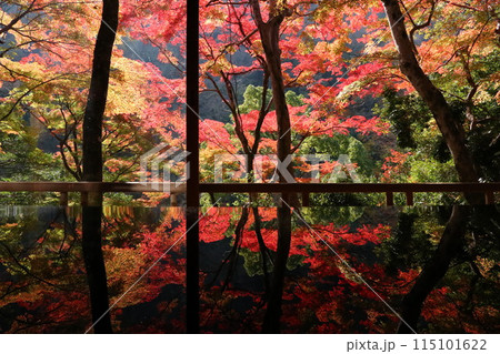 祐斎亭の紅葉 祐斎亭の紅葉 115101622