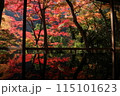 祐斎亭の紅葉 115101623