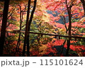 祐斎亭の紅葉 115101624