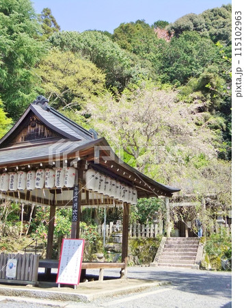大豊神社の春の境内 大豊神社の春の境内 115102963