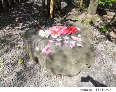 大豊神社 復縁石 大豊神社 復縁石 115102971