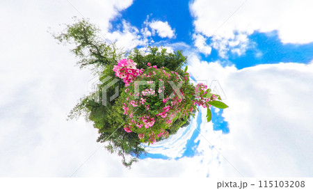 360度写真　リトルプラネットの不思議な世界　バラと青空 115103208