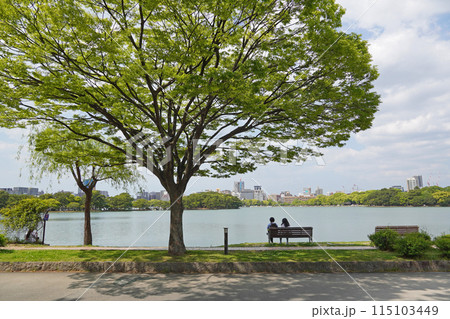 大濠公園から見る風景 大濠公園から見る風景 115103449