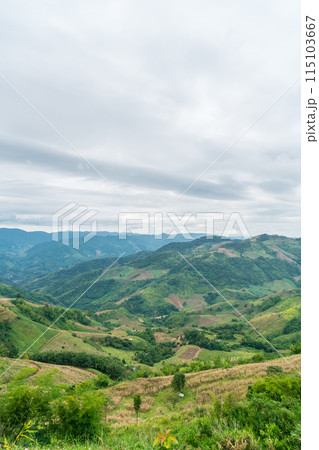 Doi Chang mountain hill at Chiang Mai in Thailand Doi Chang mountain hill at Chiang Mai in Thailand 115103667