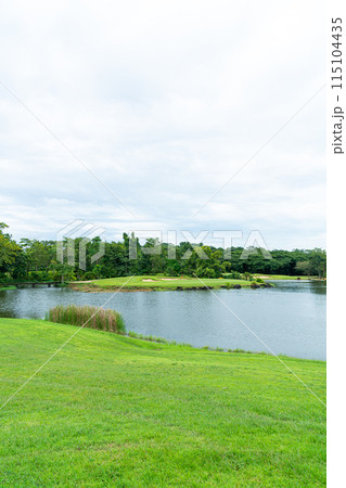 Green with Sand bunkers on Golf course Green with Sand bunkers on Golf course 115104435