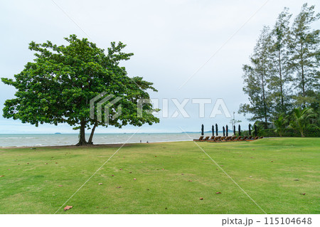 beach chair with sea beach background beach chair with sea beach background 115104648
