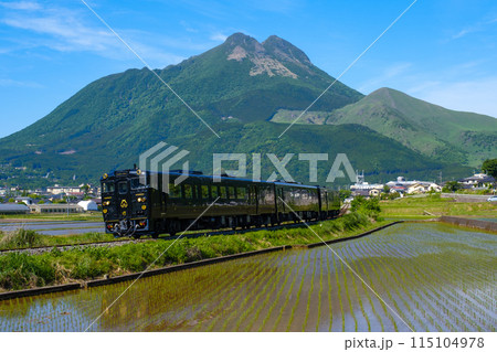 観光列車 かんぱち.いちろく 観光列車 かんぱち.いちろく 115104978