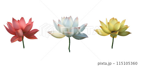 白バックのいろいろな色の睡蓮の花 白バックのいろいろな色の睡蓮の花 115105360