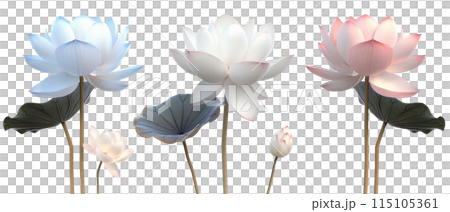 白色背景上各種顏色的蓮花 115105361