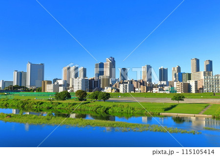 【神奈川県】快晴の武蔵小杉の高層マンション群 115105414