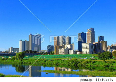 【神奈川県】快晴の武蔵小杉の高層マンション群 【神奈川県】快晴の武蔵小杉の高層マンション群 115105415