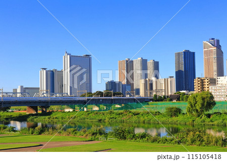 【神奈川県】武蔵小杉の高層マンションと新幹線 115105418