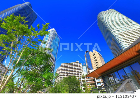 【東京都】快晴の森JPタワーとガーデンプラザレジデンス（麻布台ヒルズ ） 115105437