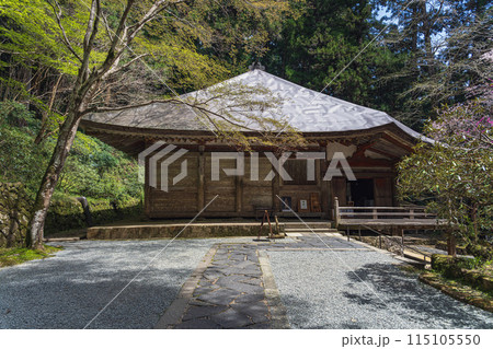 奈良 室生寺 国宝金堂 奈良 室生寺 国宝金堂 115105550