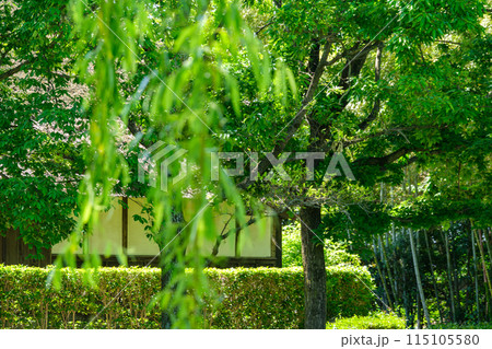 茅葺とヤナギ 115105580