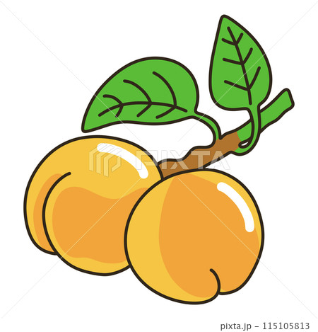 アンズ アンズ 115105813