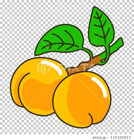 アンズ アンズ 115105813