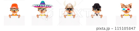 Adorable pups in different costumes like teacher, skier, gentlemen and worker 115105847