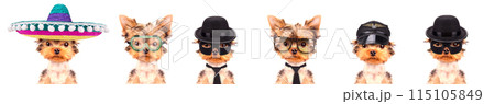 Cute pet in different costumes like teacher, skier, gentlemen, worker and Santa Cute pet in different costumes like teacher, skier, gentlemen, worker and Santa 115105849