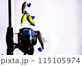 魚釣りの釣り竿とリールとルアー 115105974