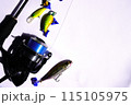 魚釣りの釣り竿とリールとルアー 115105975