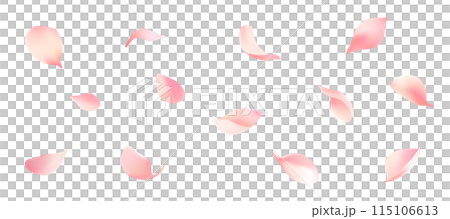 Beautifully dancing petals vector material 115106613