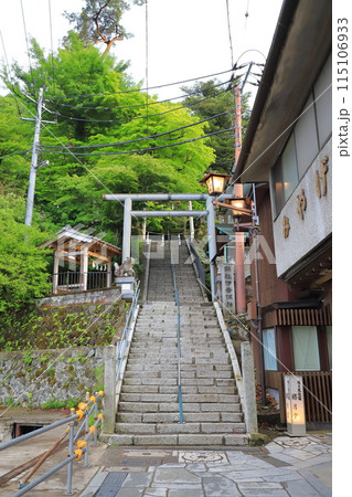 伊香保神社 石段と鳥居 群馬県渋川市伊香保町 伊香保神社 石段と鳥居 群馬県渋川市伊香保町 115106933