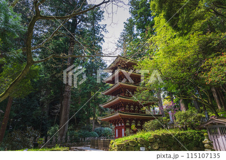 奈良 室生寺 新緑に包まれた五重塔 奈良 室生寺 新緑に包まれた五重塔 115107135